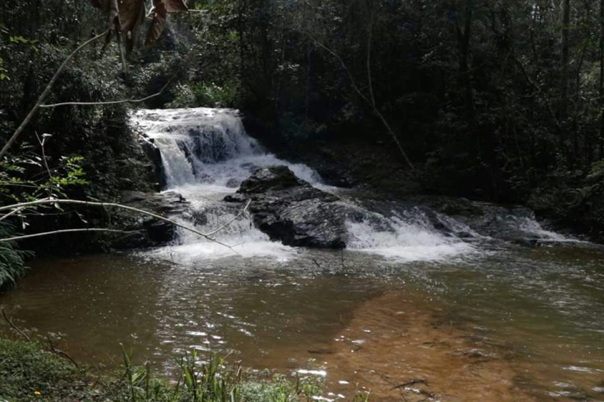 Conexão com a natureza