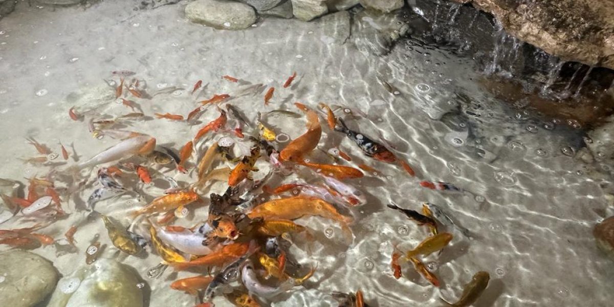 sobrado-ibira-4suites (19)